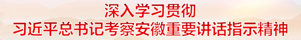安徽省引江濟淮集團有限公司