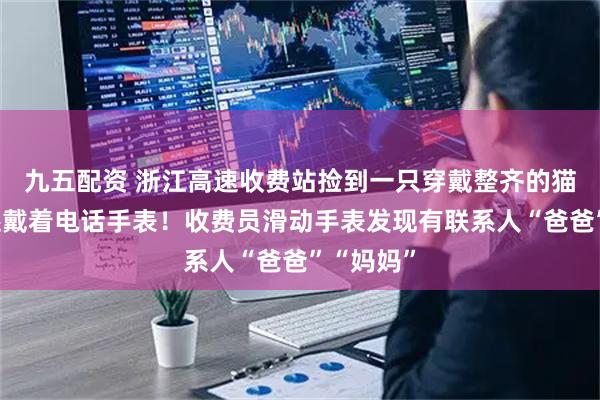 九五配资 浙江高速收费站捡到一只穿戴整齐的猫，身上还戴着电话手表！收费员滑动手表发现有联系人“爸爸”“妈妈”