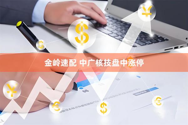 金岭速配 中广核技盘中涨停