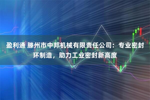 盈利通 滕州市中邦机械有限责任公司：专业密封环制造，助力工业密封新高度